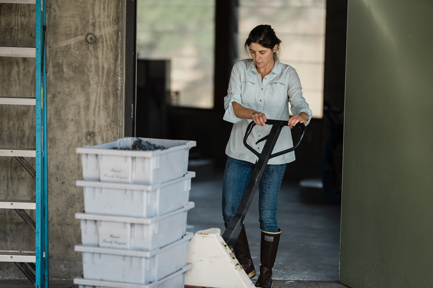 Kathryn Carothers took over at Bryant Estate in 2018 and is responsible for some of the Napa Valley's greatest Cabernet Sauvignon.