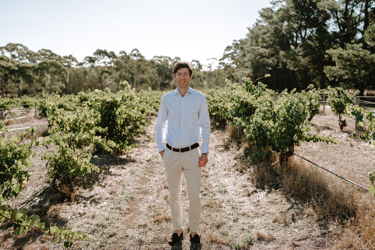 Johann Henschke in his family's vineyard