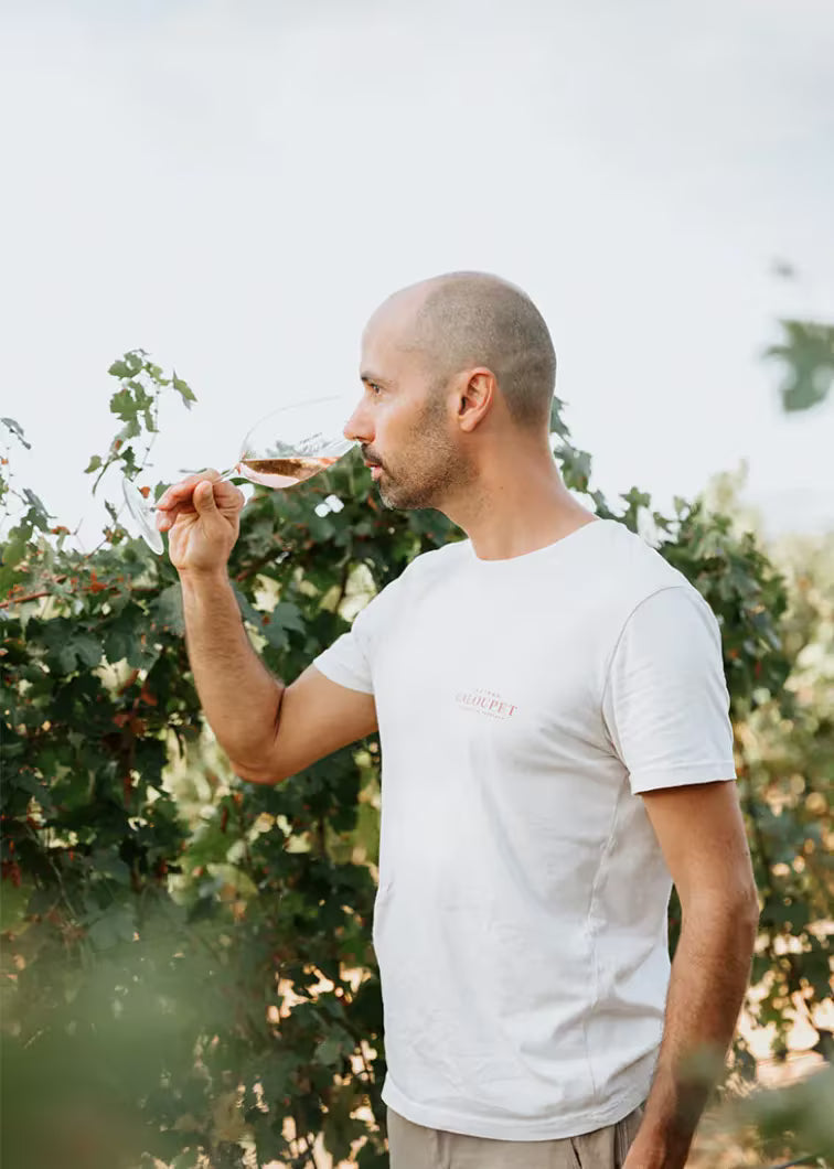In conversation with Mathieu Meyer, Estate Director, Château Galoupet