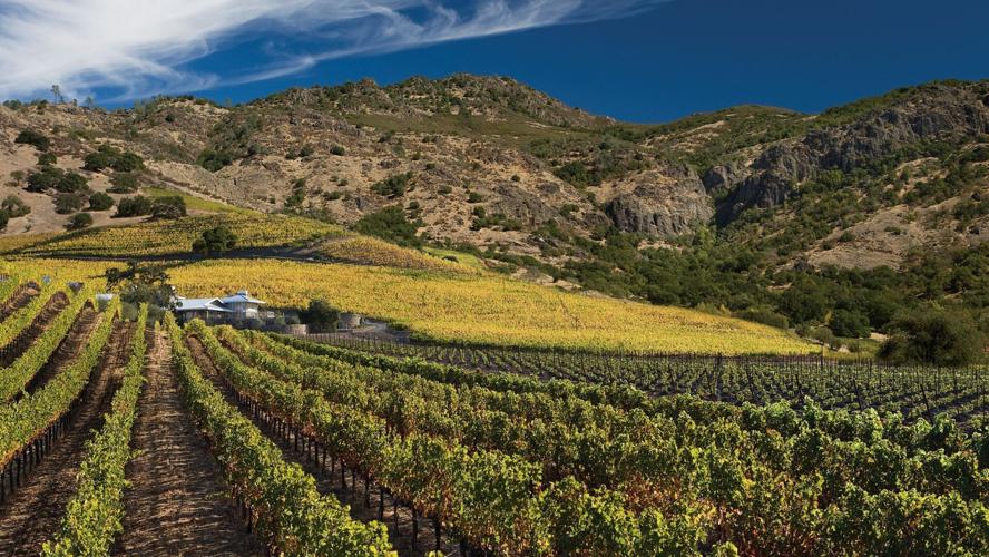 The majestic vineyards of Shafer