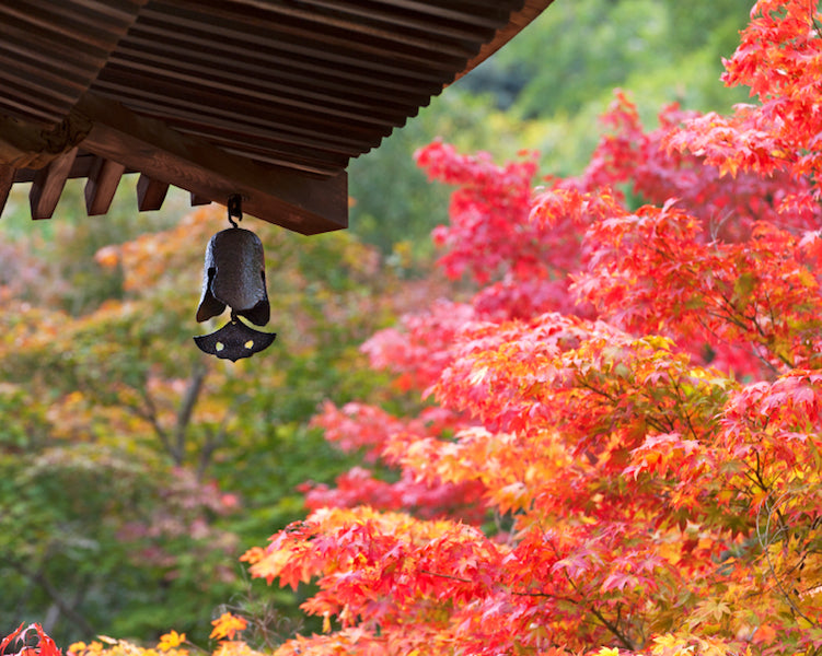 Japanese countryside