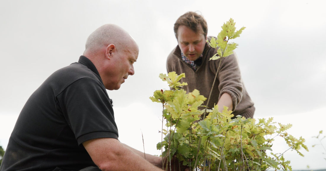 Stewart Walker is recognised as one of Scotland's greatest distillery managers