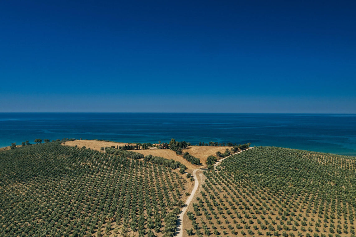 Planeta