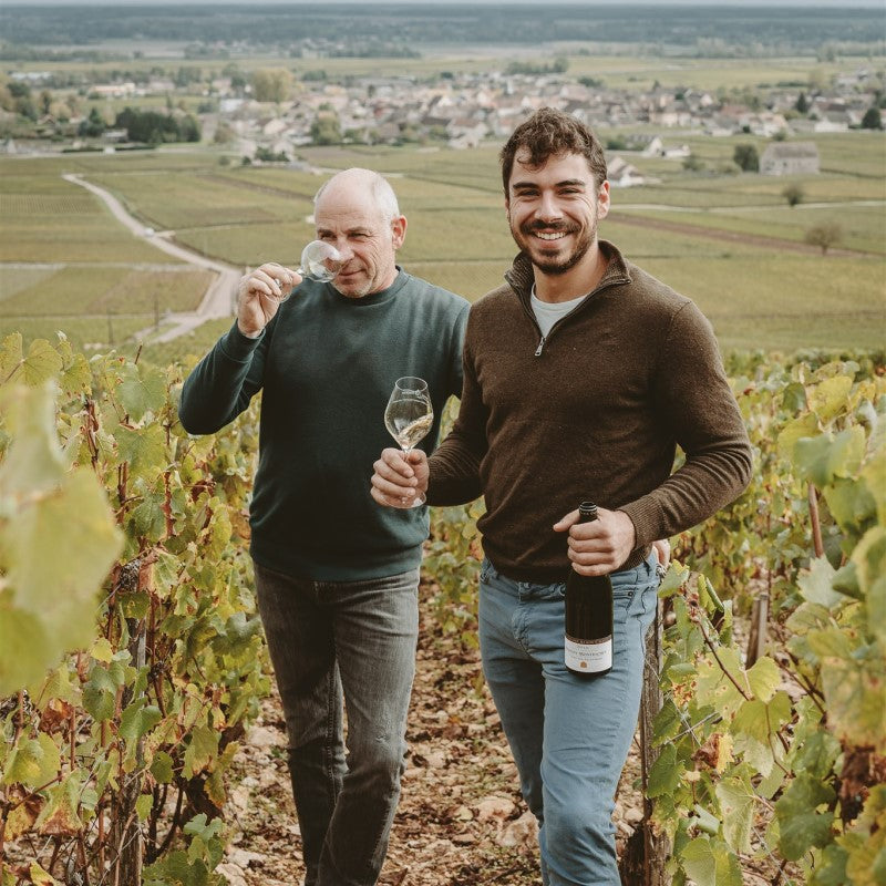 Domaine Alain Chavy