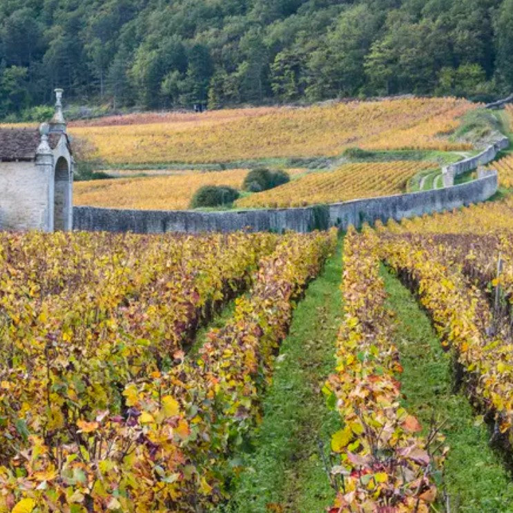 Domaine Armand Rousseau