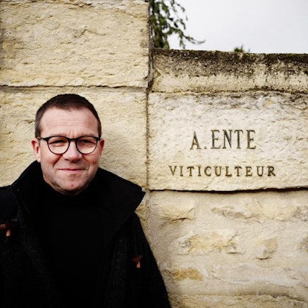 Arnaud Ente