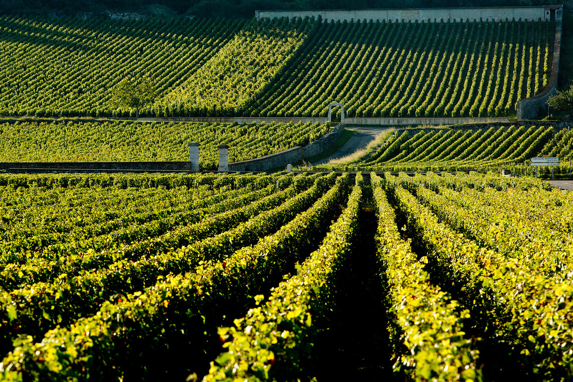 Domaine Leflaive
