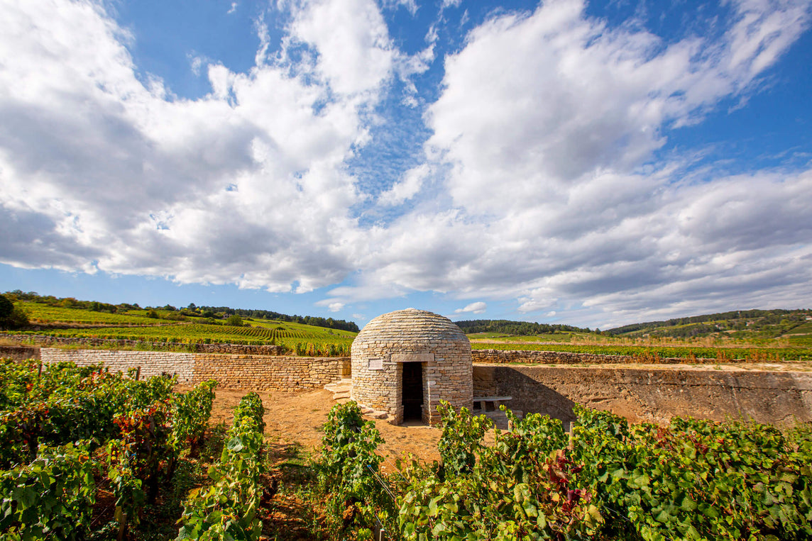 Domaine Louis Jadot