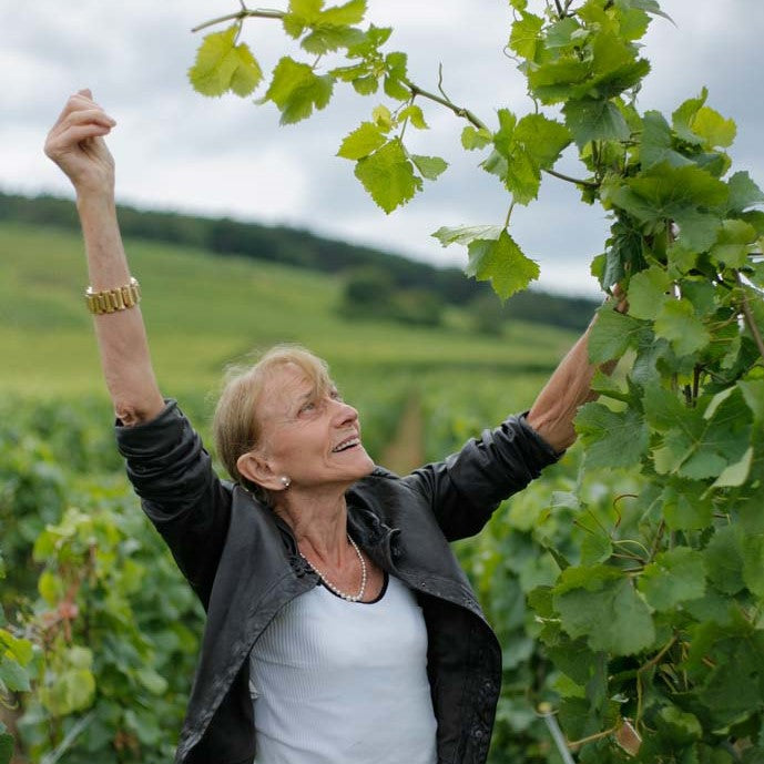 Domaine Leroy