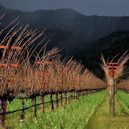 Eisele Vineyard