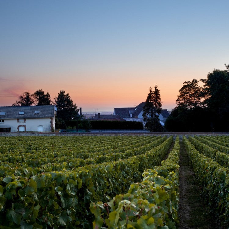 Krug
