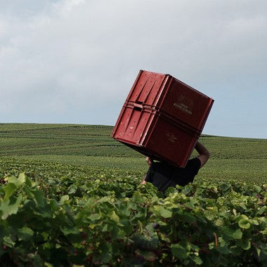 Louis Roederer