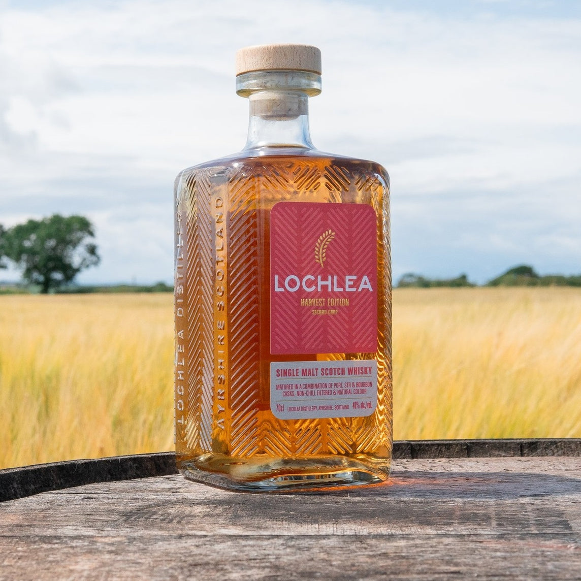 Lochlea