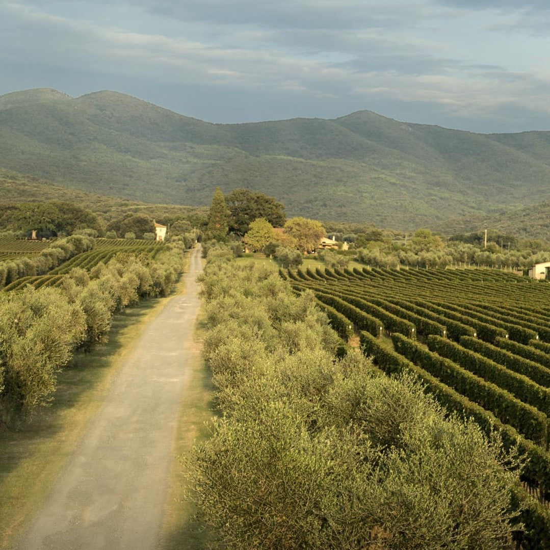 Ornellaia