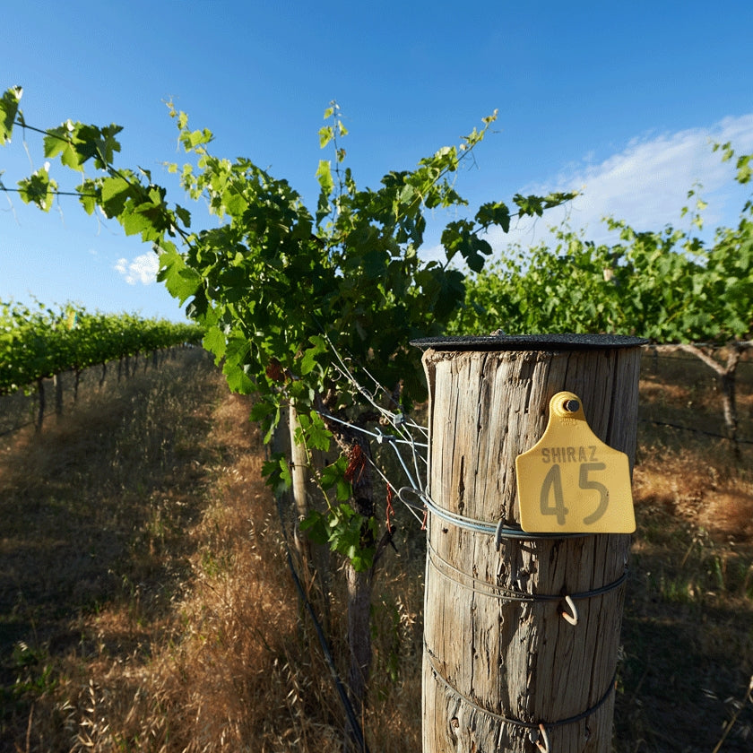 Penfolds Grange 1989 – Hedonism Wines