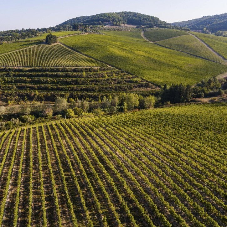 Antinori