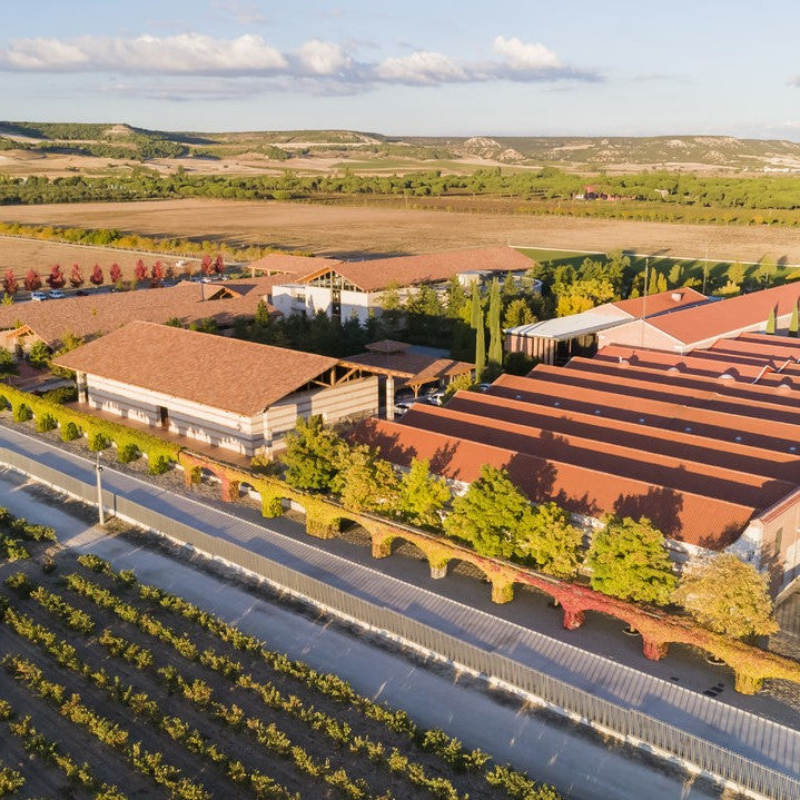Vega Sicilia