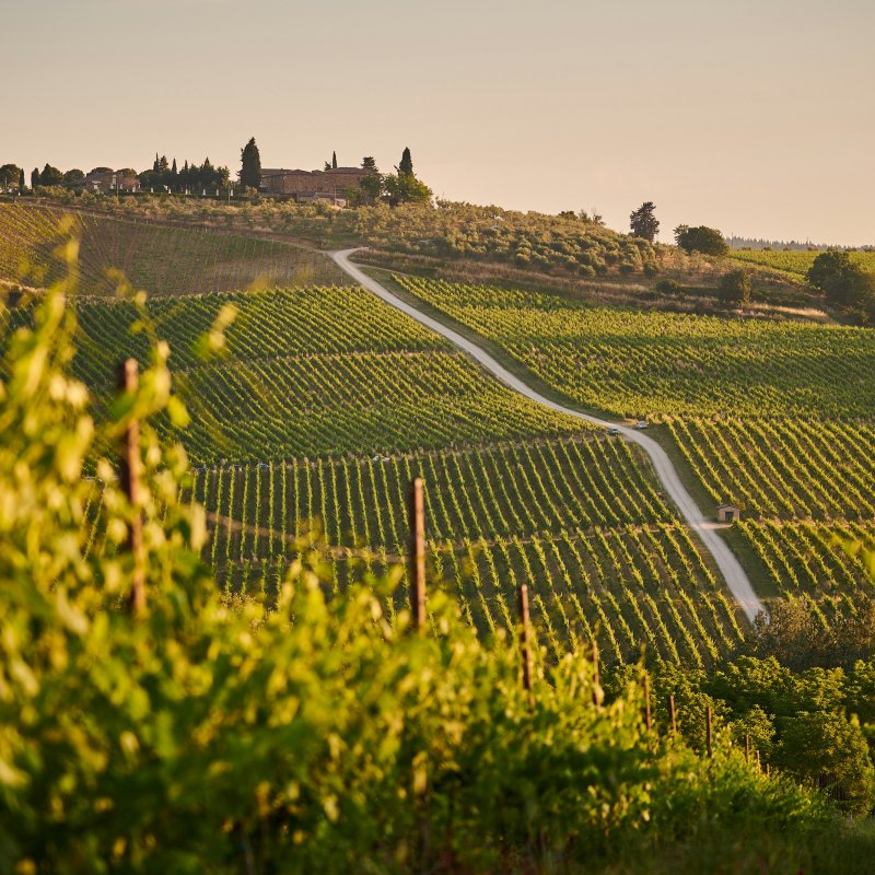 A Taste of Tuscany