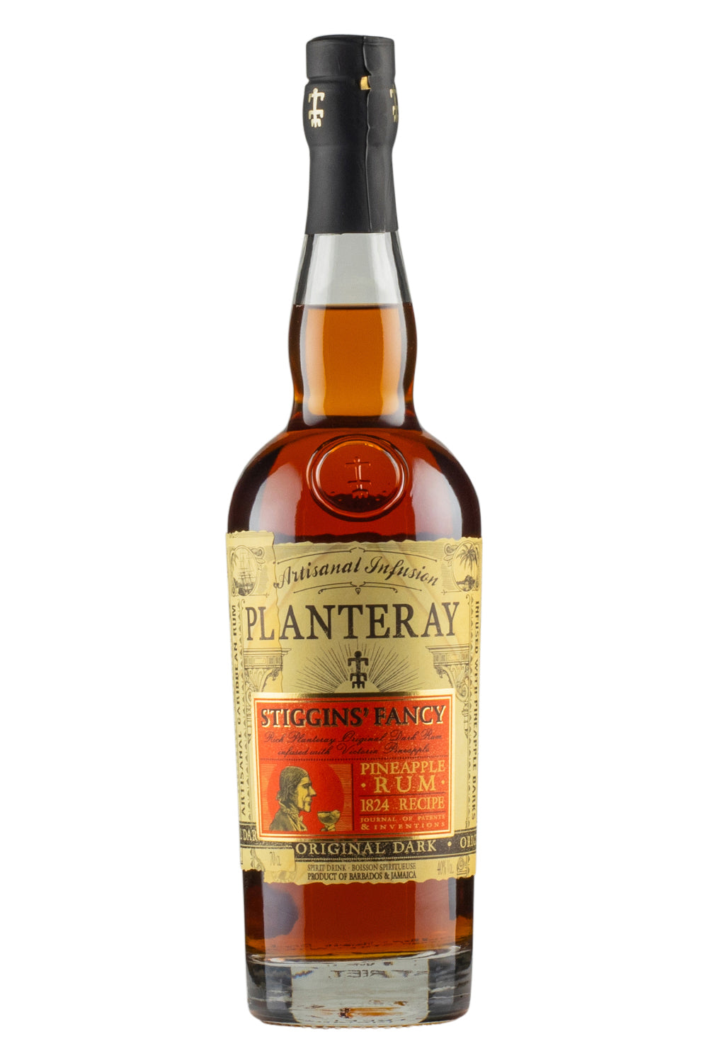 Planteray  Stiggins` Fancy Pineapple