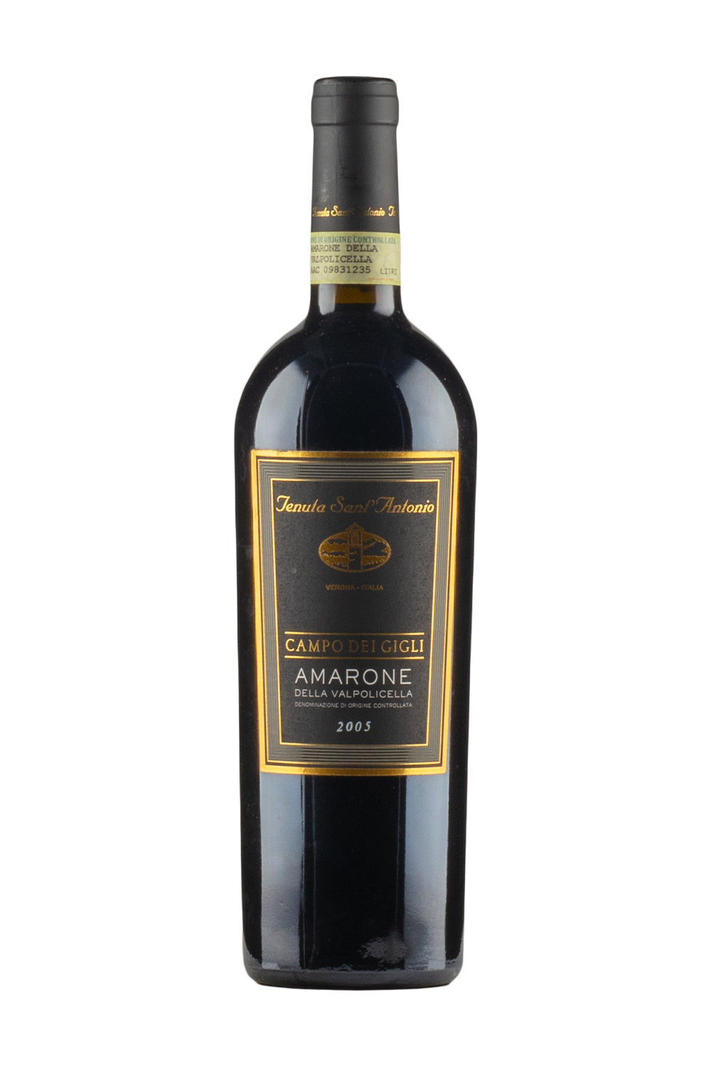 Amarone della Valpolicella Campo dei Gigli Tenuta Sant`Antonio 2005