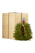 Hennessy Paradis x Loewe Anise