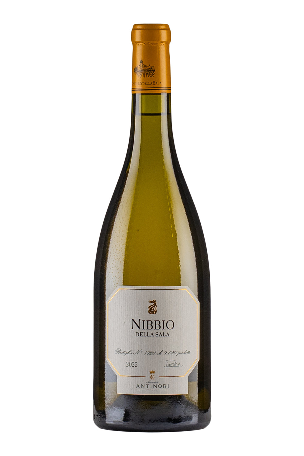 Nibbio della Sala 2022