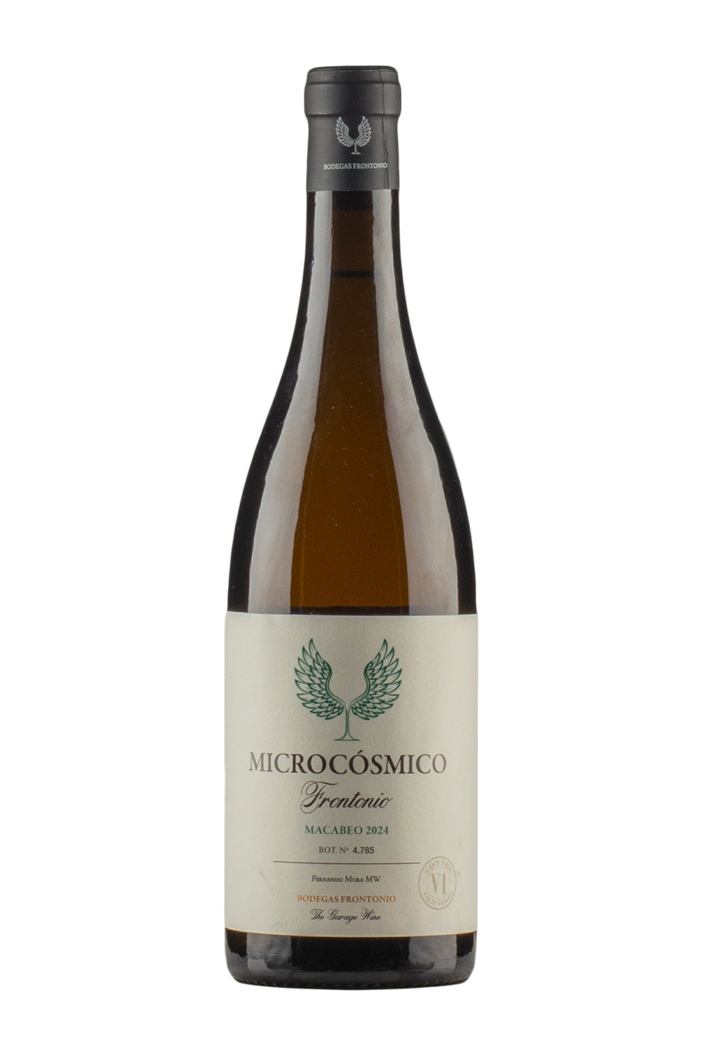 Frontonio Microcosmico Macabeo 2024