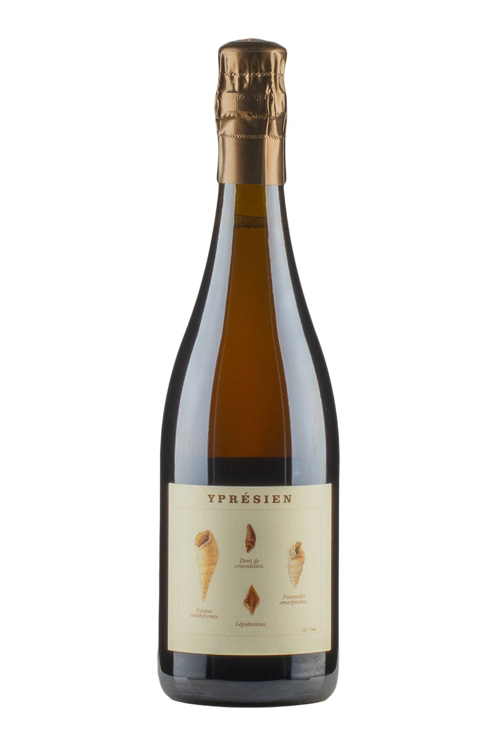 Ypresien Legrand Latour