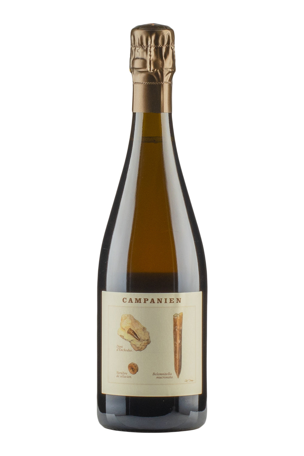 Campanien Legrand Latour
