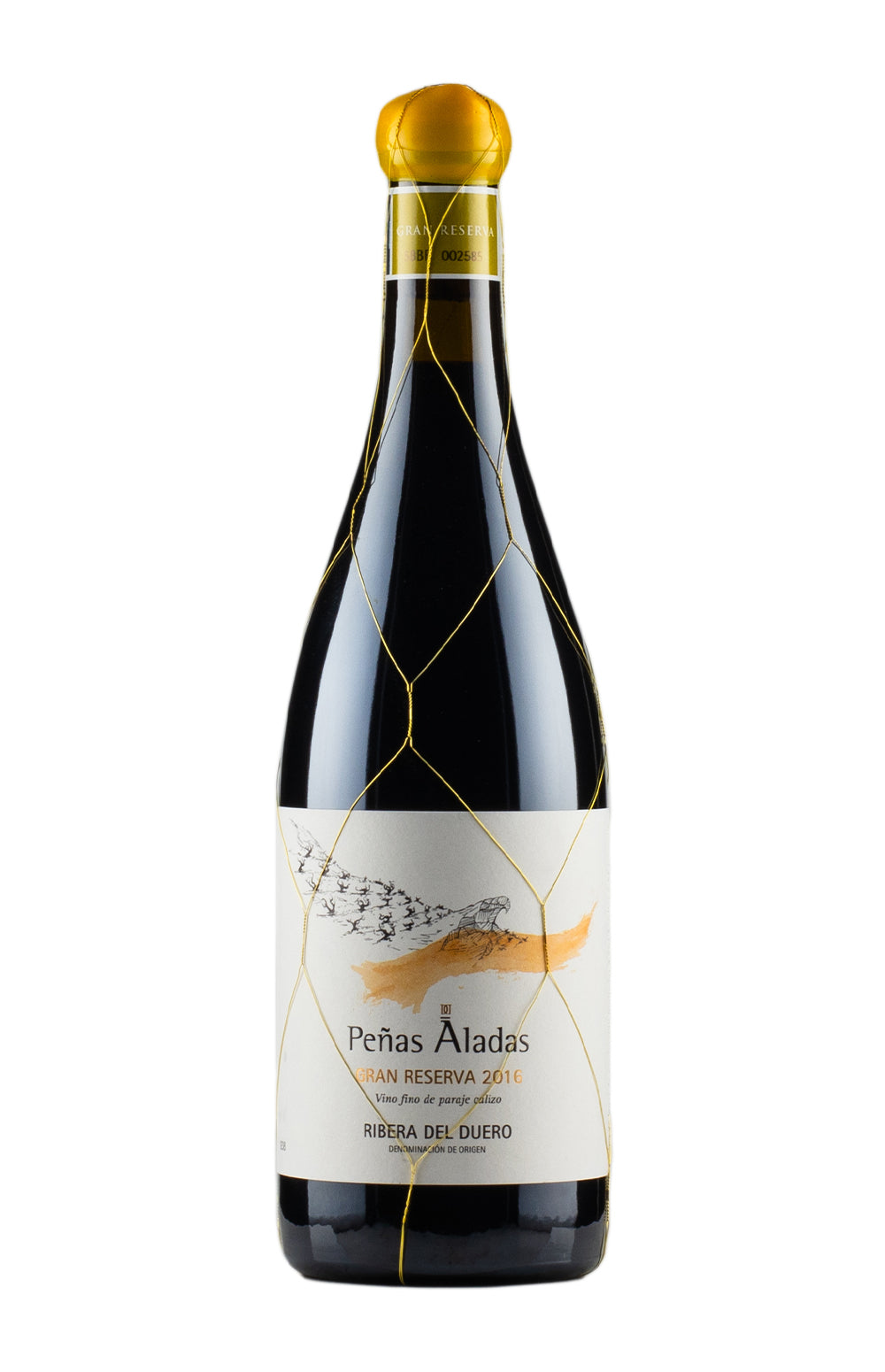 Penas Aladas Dominio del Aguila 2016