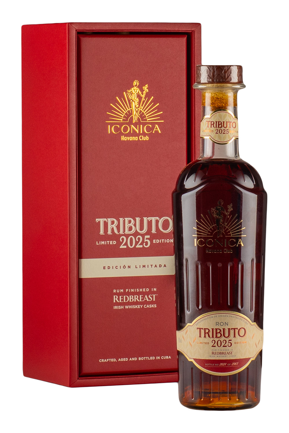 Havana Club Tributo (2025 Release)