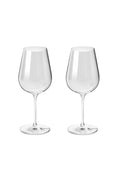 Richard Brendon X Jancis Robinson Precision Wine Glass - Two Pack