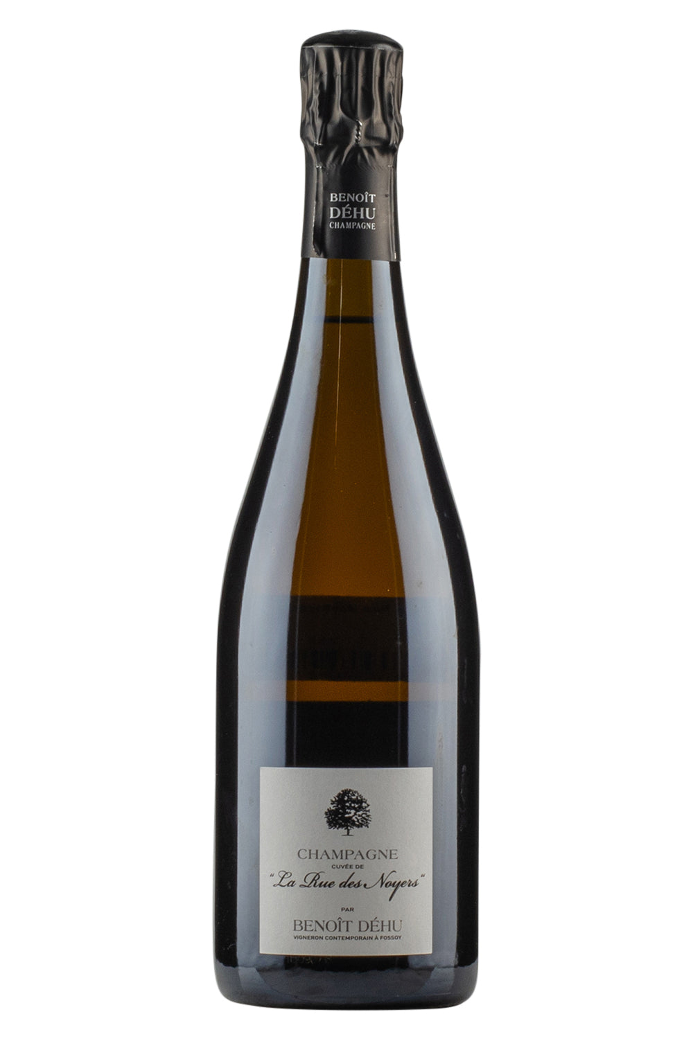 Benoit Dehu La Rue des Noyers 2015
