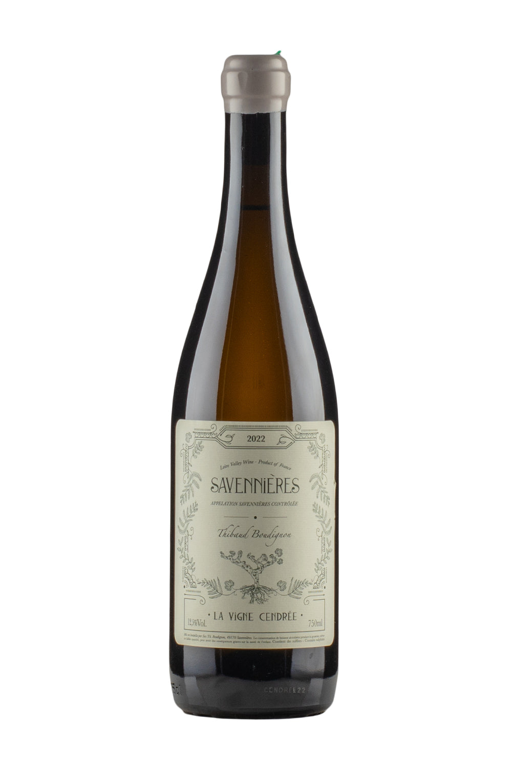 Savennieres La Vigne Cendree Thibaud Boudignon 2022