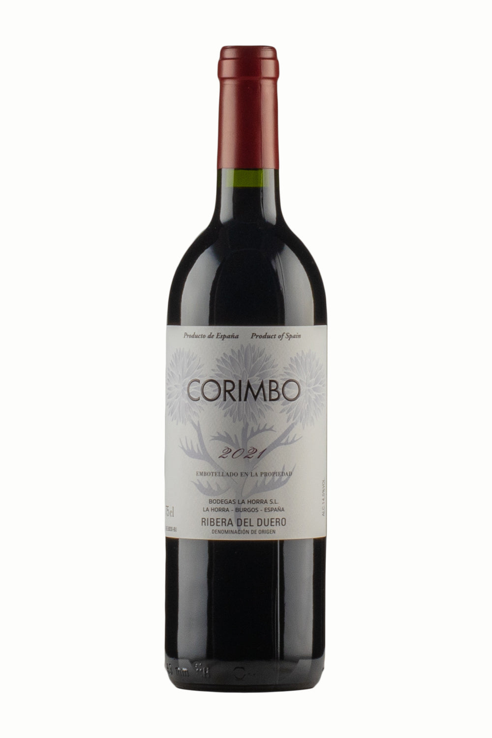 Corimbo 2021