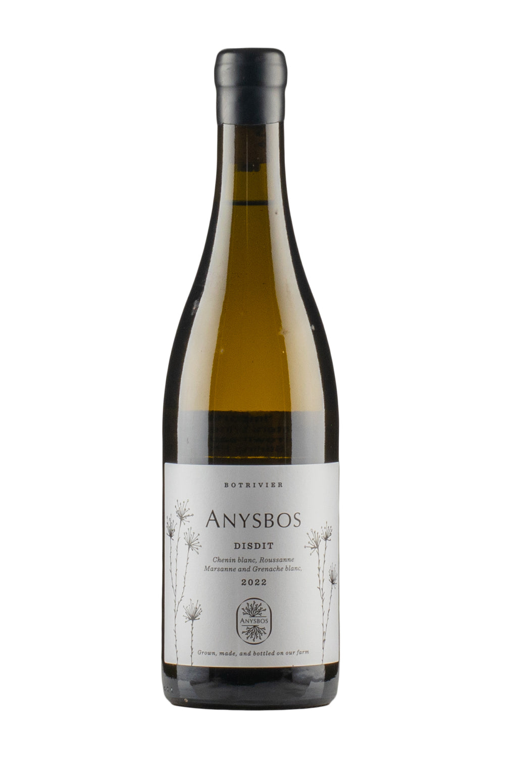 Anysbos Disdit 2022