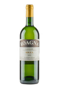 Solea Roagna 2023