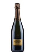 Bollinger RD 1995