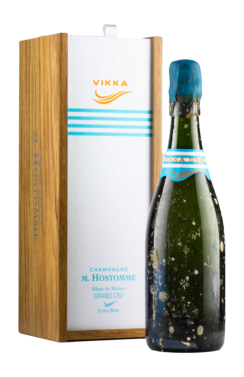 Hostomme Vikka 2009