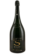 Salon Magnum 1995