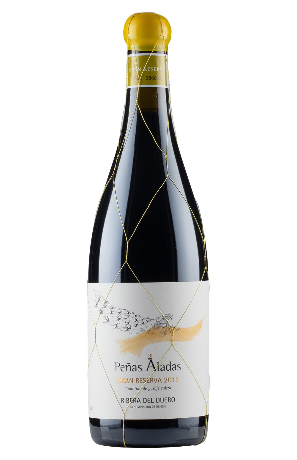 Penas Aladas Dominio del Aguila 2015