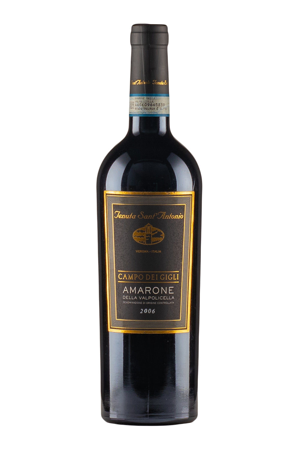 Amarone della Valpolicella Campo dei Gigli Tenuta Sant`Antonio 2006