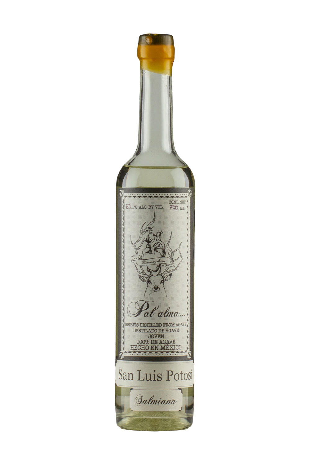 Pal`alma Salmiana Ancestral San Luis Potosi