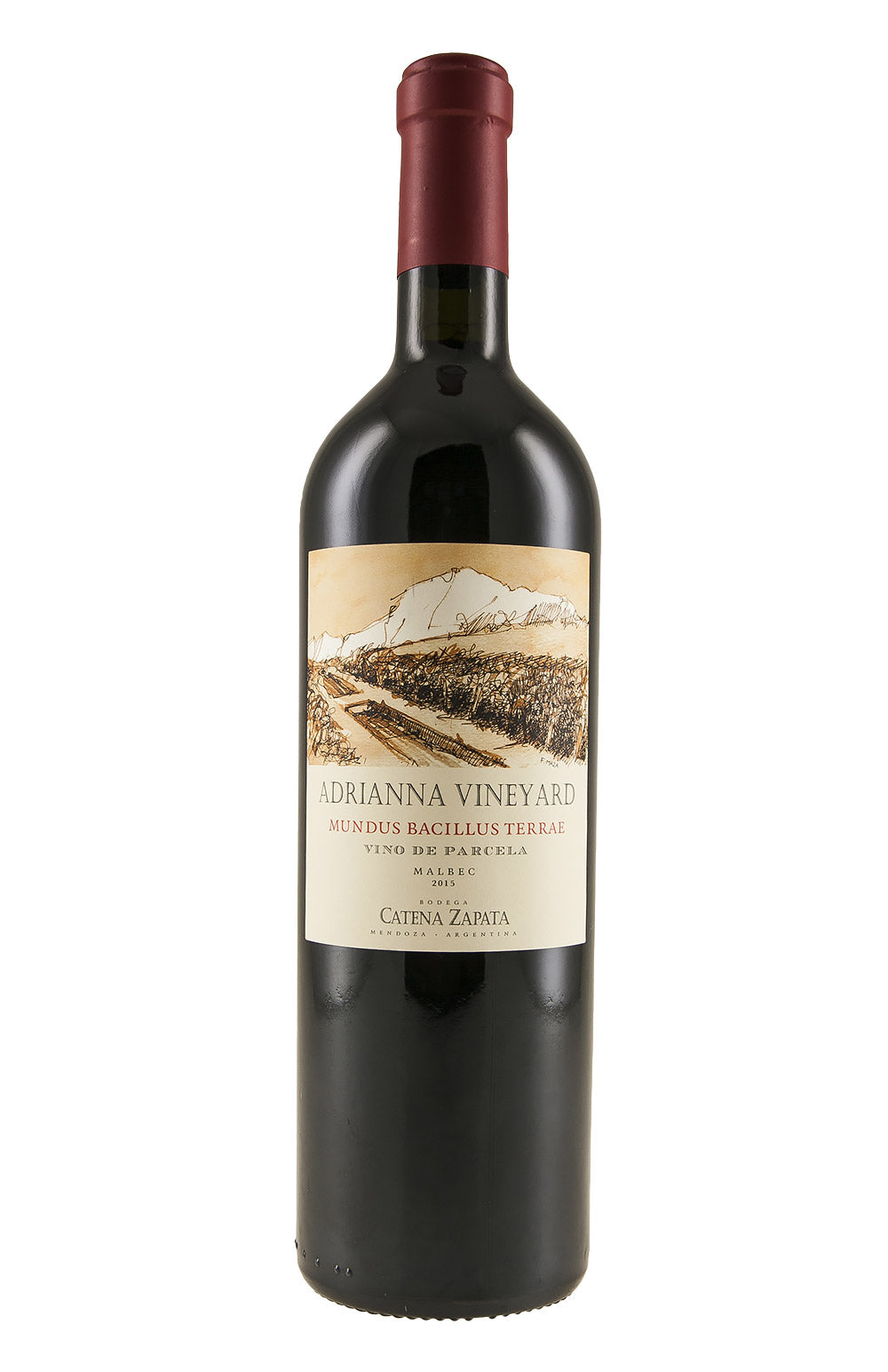 Catena Adrianna Vineyard Mundus Bacillus Terrae 2015