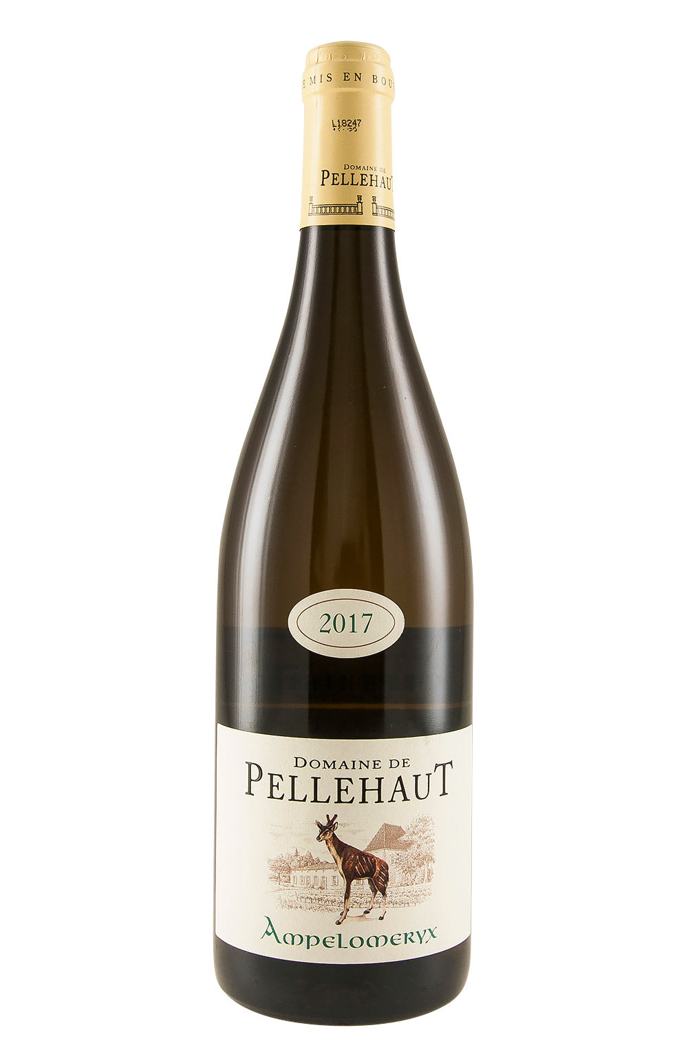 Domaine de Pellehaut Ampelomeryx Blanc 2017