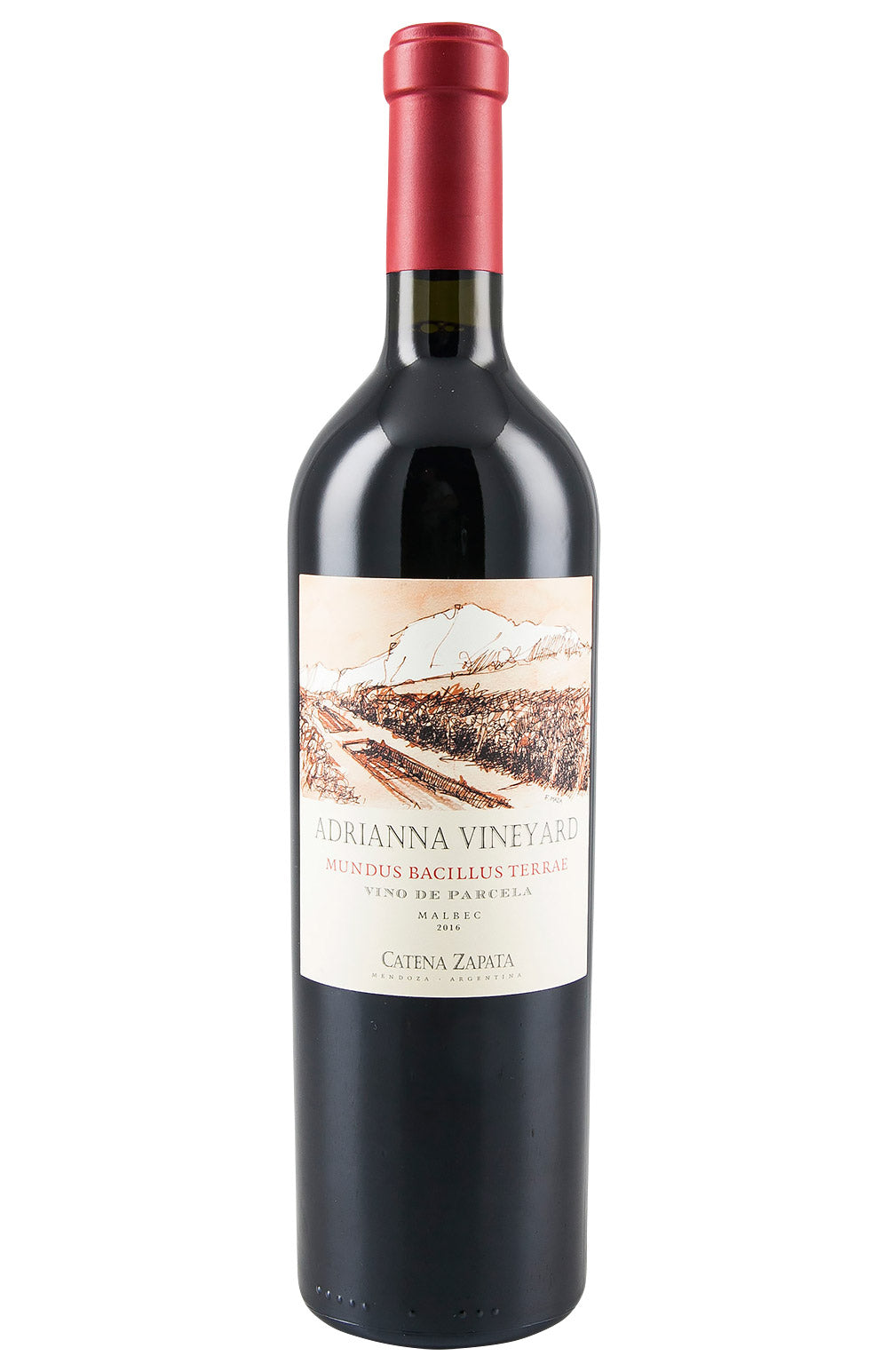 Catena Adrianna Vineyard Mundus Bacillus Terrae 2016