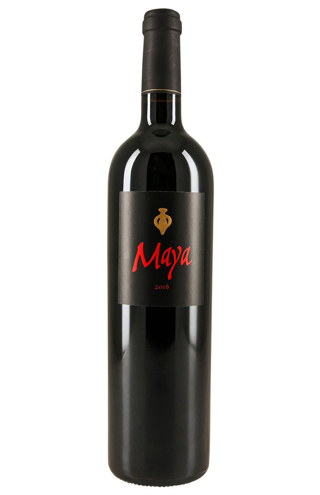 Dalla Valle Maya 2016