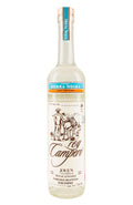 Rey Campero Sierra Negra