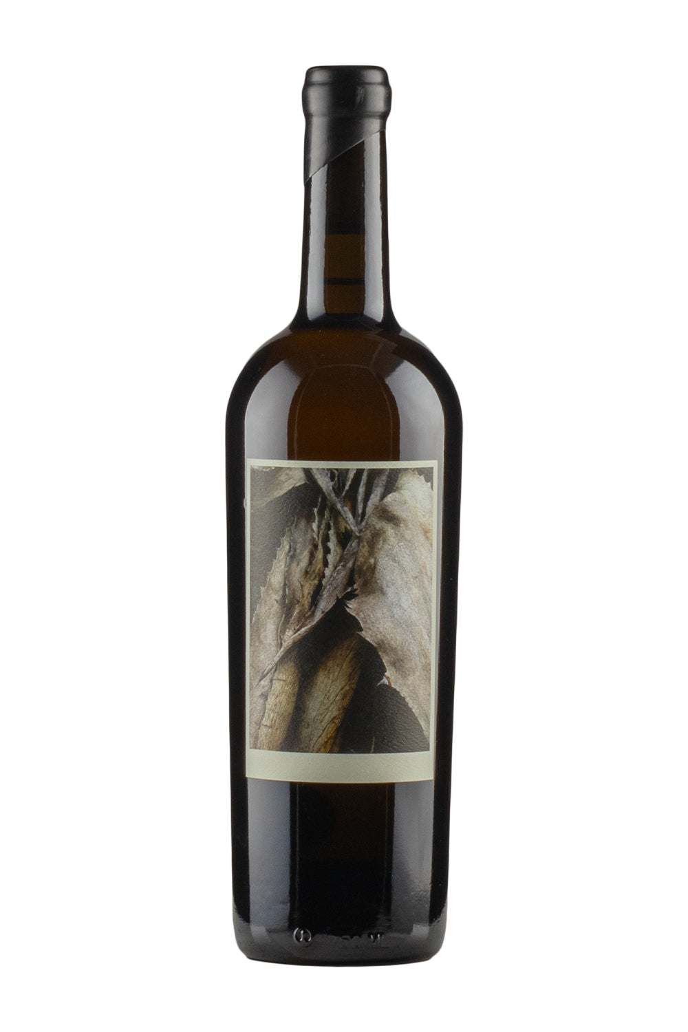 Sine Qua Non Resiste 2013