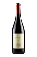 Saumur Rouge Guiberteau 2020